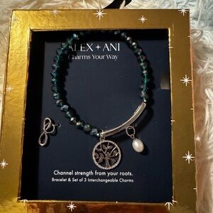 Alex and Ani Silver and dark green Charm Bracelet